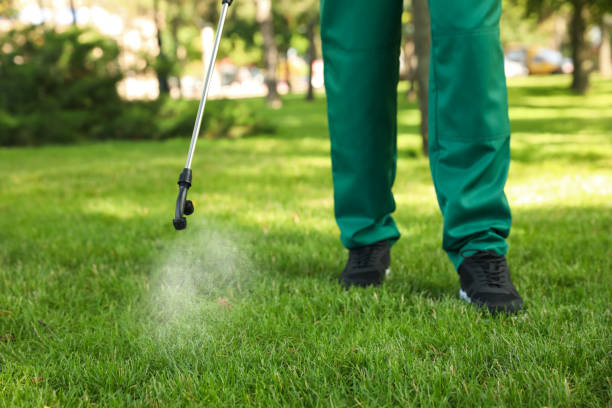 Best Affordable Pest Control Services  in Indian Lake, MO
