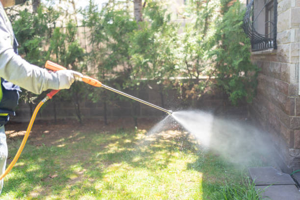 Best Pest Removal Services  in Indian Lake, MO